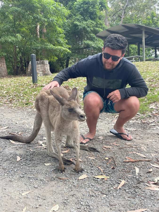 From Sydney: Jervis Bay Day Tour and Dolphin Watching Cruise - Greenfield Beach and the coastal beach crawl