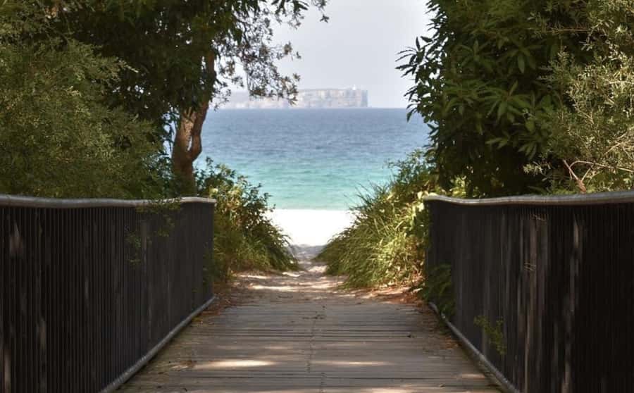 From Sydney: Jervis Bay Day Tour and Dolphin Watching Cruise - Cave Beach in Booderee National Park