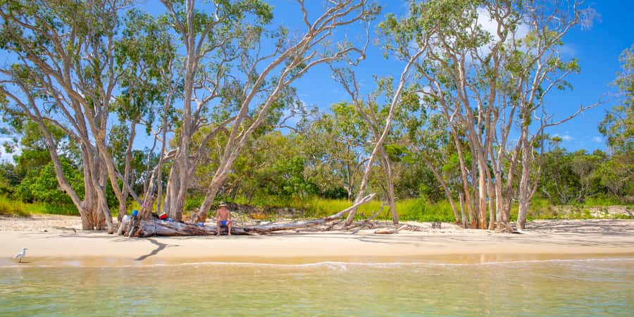 From Yeppoon: Great Keppel Island Snorkeling Hire with Lunch - Key points at a glance