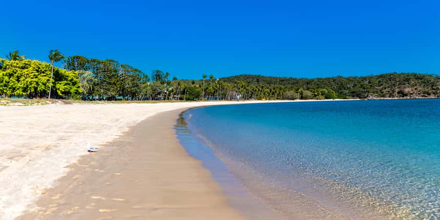 From Yeppoon: Great Keppel Island Snorkeling Hire with Lunch - What to bring for a better day