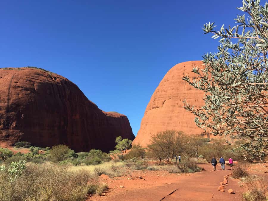 From Yulara: 3-Hour Small Group Kata Tjuta Afternoon Tour - Pickup from Yulara and the small vehicle