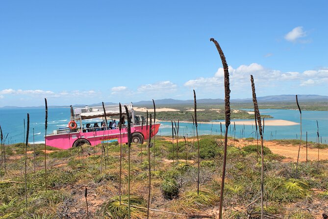 Full-Day 1770 Tour by LARC Amphibious Vehicle Including Sandboarding and Bustard Head Lightstation - Reaching Bustard Head Lightstation