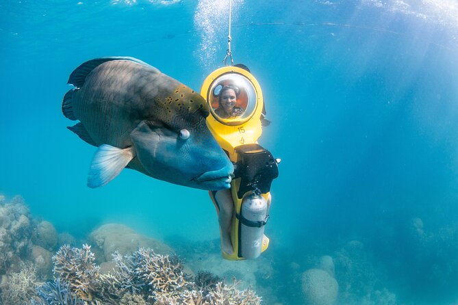 Full-Day Great Barrier Reef Pontoon with Snorkeling & Activities - Lunch, Tea, and the Real Value of the Price