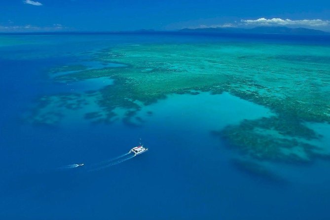 Full-Day Great Barrier Reef Sailing Trip from Cairns - Price and overall value at $179.31