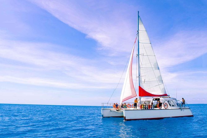 Full-Day Great Barrier Reef Sailing Trip from Cairns - Who should book this reef trip?