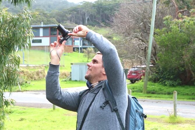 Full-Day Great Ocean Road and 12 Apostles Sunset Tour from Melbourne - Leaving Melbourne for Anglesea and Torquay