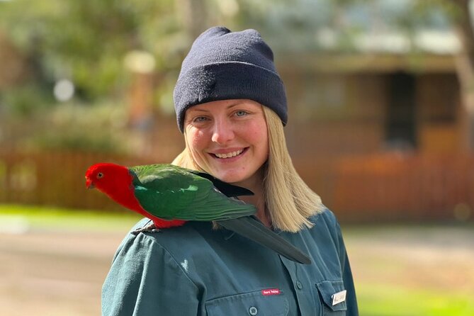 Full-Day Great Ocean Road and 12 Apostles Sunset Tour from Melbourne - What is included, and what you need to plan