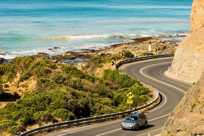 Full-Day Great Ocean Road and 12 Apostles Sunset Tour from Melbourne - Who will get the most from this day