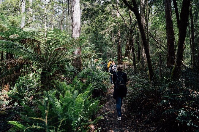 Full-Day Guided Bruny Island Tour from Hobart - The Neck offers the day’s signature view