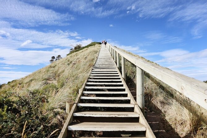 Full-Day Guided Bruny Island Tour from Hobart - Mavista shows Bruny’s forest side