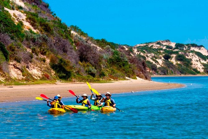 Full Day Kayaking Tour in Coorong National Park - Why kayaking suits the Coorong