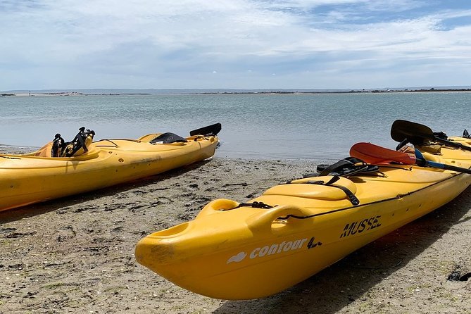 Full Day Kayaking Tour in Coorong National Park - Crossing Young Husband Peninsula on foot