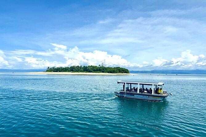 Full Day Low Isles Sailing & Snorkelling Cruise from Port Douglas - Who Will Enjoy This Low Isles Cruise?