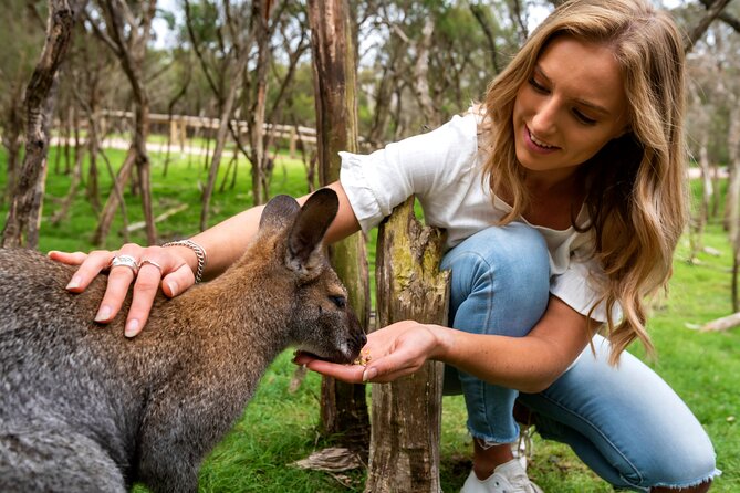 Full-Day Penguins and Wildlife Nature Experience from Melbourne - Why this tour works as a Melbourne day trip