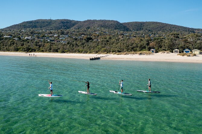 Full-Day Penguins and Wildlife Nature Experience from Melbourne - Cowes, the island’s easygoing town stop