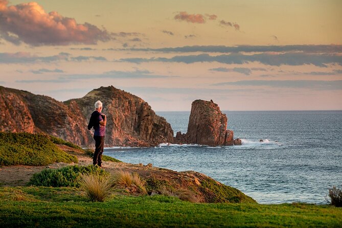Full-Day Phillip Island Tour with Kangaroo, Koala and Penguin Parade - What the Long Drive Means for Your Day