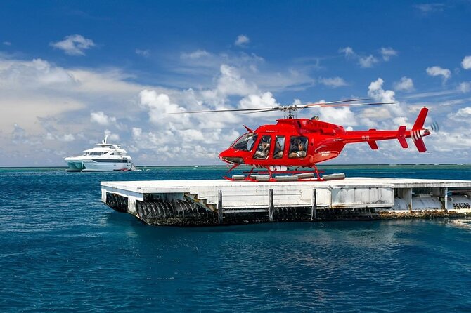 Full Day Reef Cruise and 10 Minute Helicopter Scenic Flight - Saxon or Norman Reef: your first three hours