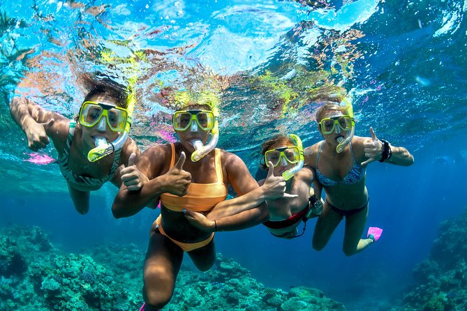 Full Day Reef Cruise and 10 Minute Helicopter Scenic Flight - BBQ lunch with a view of the reef