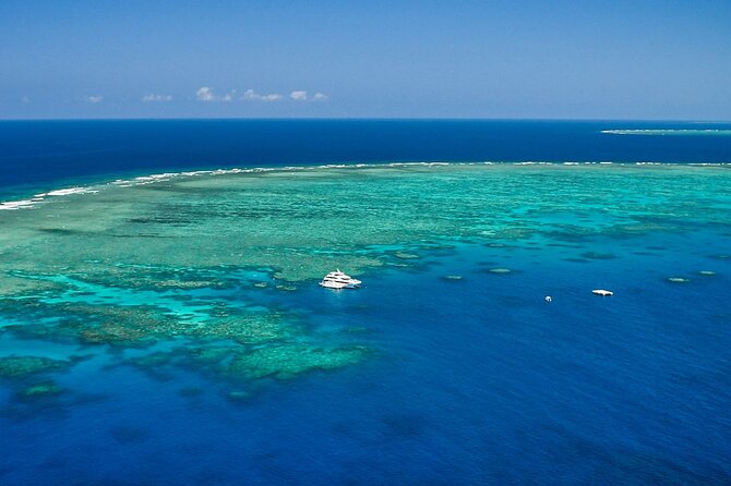 Full Day Reef Cruise and 10 Minute Helicopter Scenic Flight - Crew service, safety, and the onboard photographer