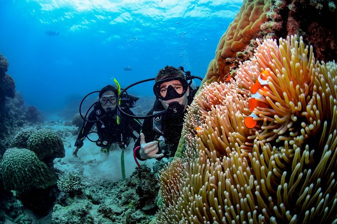 Full Day Reef Cruise and 10 Minute Helicopter Scenic Flight - The return trip and 5:30pm arrival