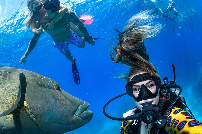 Full Day Reef Cruise and 10 Minute Helicopter Scenic Flight - The 90-minute run out on Evolution