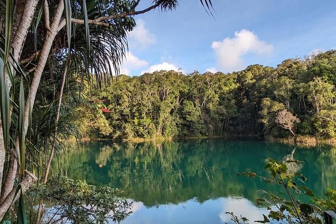Full-day Tour at the Atherton Tablelands with Food Tasting - Key points to know before booking