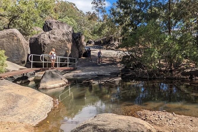 Full-day Tour at the Atherton Tablelands with Food Tasting - Bromfield Swamp and the region’s volcanic past