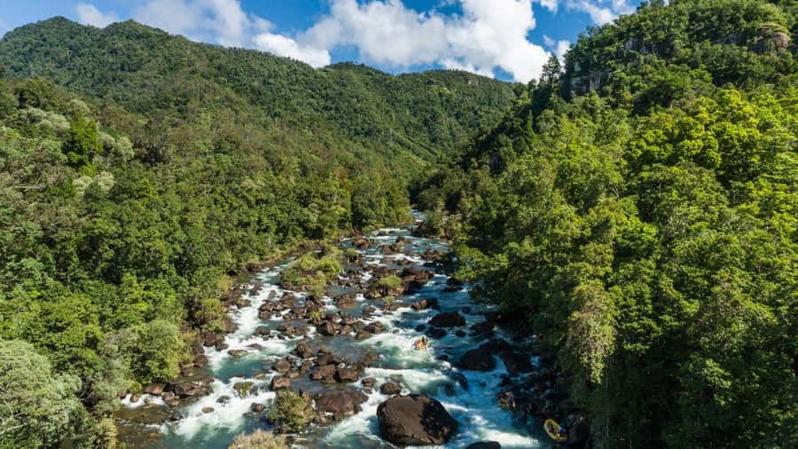Full Day White Water Rafting From Cairns or Mission Beach - Three hours of paddling, rapids, swims, and rainforest