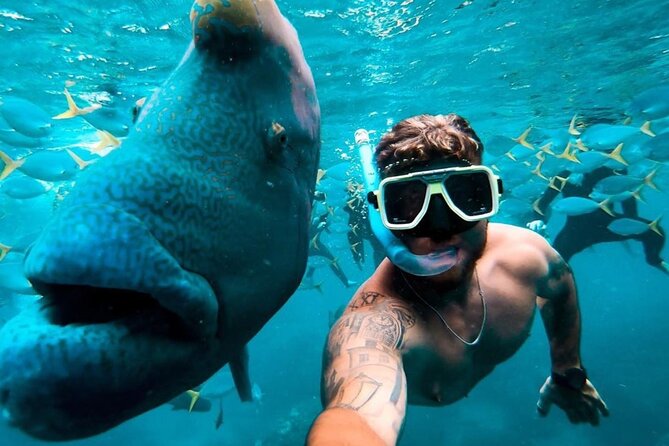 Full-Day Whitsunday Sail and Snorkel Adventure with Lunch - Banana boat rides and beach time