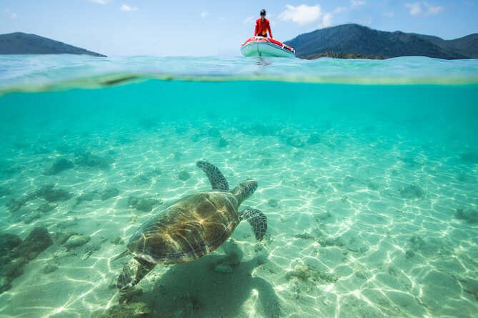 Full-Day Whitsunday Sail and Snorkel Adventure with Lunch - The crew sets the tone