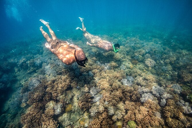 Full-Day Whitsunday Sail and Snorkel Adventure with Lunch - Is the $142.73 price good value?