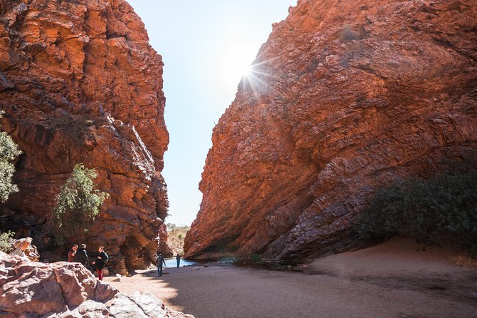 Full Uluru Base Walk at Sunrise Including breakfast - Mutitjulu Waterhole and the Kuniya story