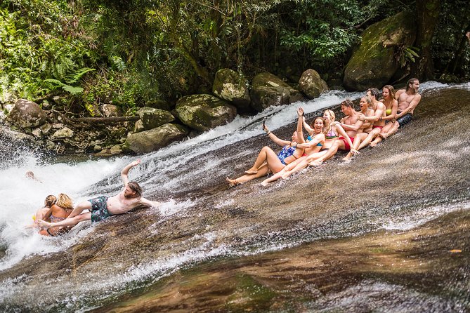 Fun, Falls and Forests Day Trip from Cairns - Key points to know before booking