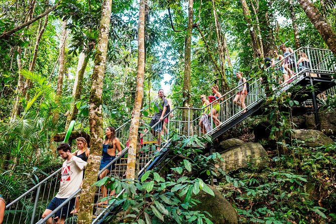 Fun, Falls and Forests Day Trip from Cairns - A guide-led day with music, games, and local stories