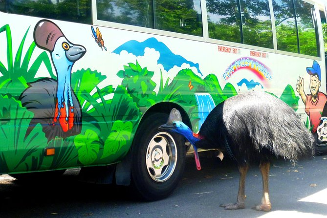 Fun, Falls and Forests Day Trip from Cairns - What the 12-hour schedule means for you
