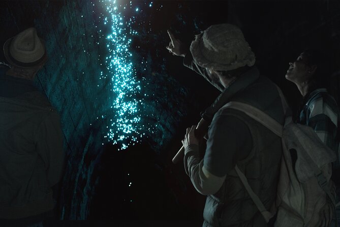 Glow-worms, Waterfalls & Rainforest Experience - Key points at a glance