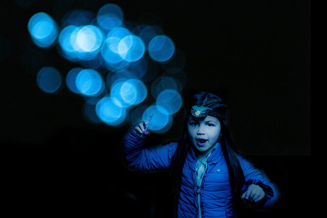 Glow-worms, Waterfalls & Rainforest Experience - Dinner in the forest