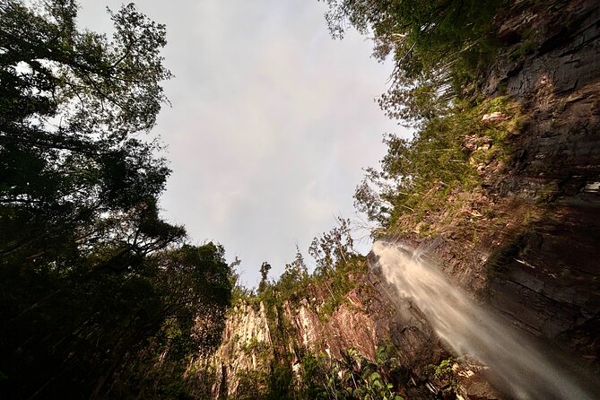 Glow-worms, Waterfalls & Rainforest Experience - What the $99.70 price covers