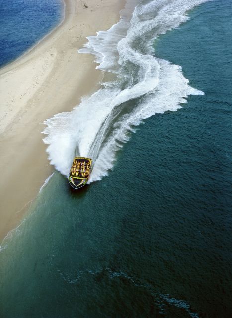 Gold Coast: 1-Hour Extreme Jet Boat Ride - Wildlife watching between the stunts