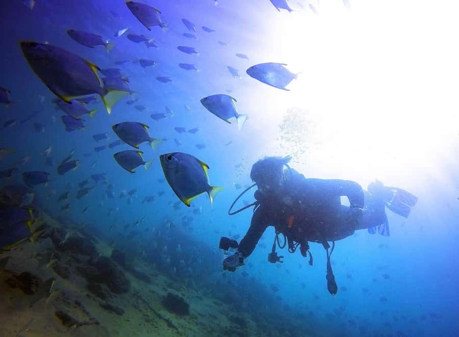 Gold Coast: 3-Day PADI Open Water Course - Who will get the most from this experience