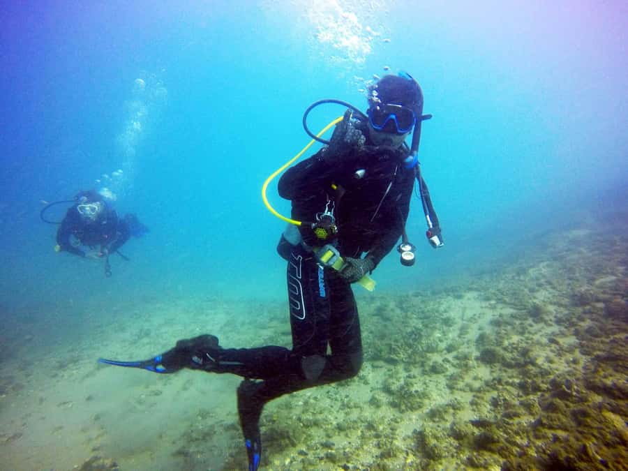 Gold Coast: 3-Day PADI Open Water Course - Day one: learning the rules before entering open water
