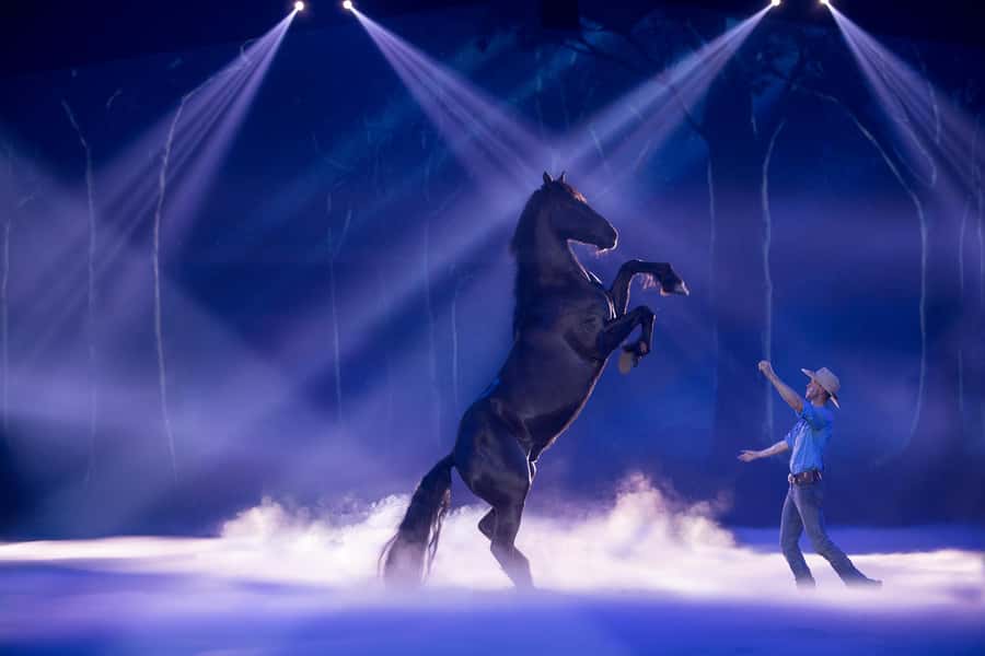 Gold Coast: Australian Outback Spectacular Dinner & Show - Why this Gold Coast dinner show works