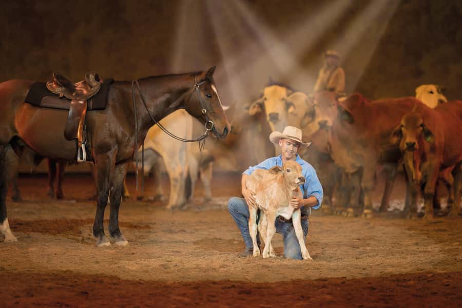 Gold Coast: Australian Outback Spectacular Dinner & Show - Sound, seating, and what to expect inside