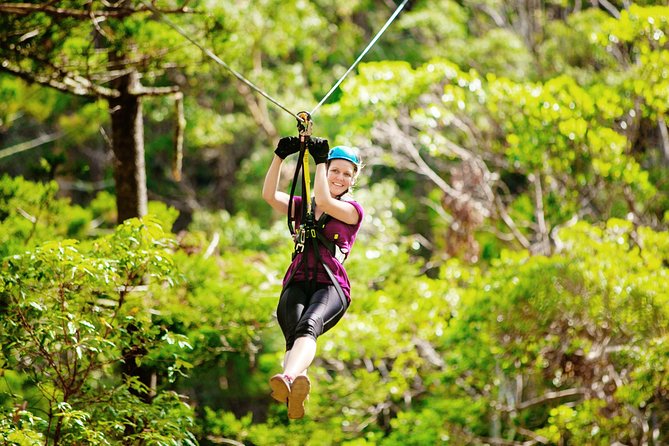 Gold Coast Canyon Flyer Zipline Tour - Key points at a glance