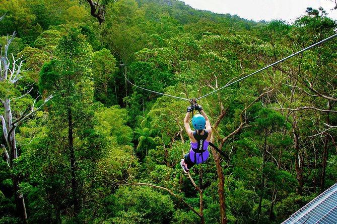 Gold Coast Canyon Flyer Zipline Tour - Arriving at TreeTop Challenge Mount Tamborine