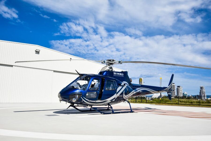 Gold Coast: Coastal City Scenic Helicopter Flight - Staff, pilots, and special occasions