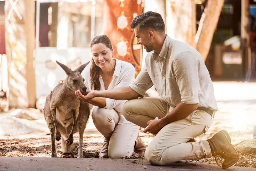 Gold Coast: Dreamworld 1-Day Entry Ticket - Starting in Rivertown with Jungle Rush