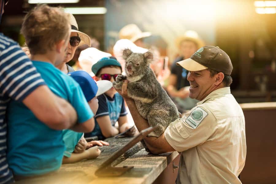 Gold Coast: Dreamworld 1-Day Entry Ticket - Access, lockers, and practical comfort