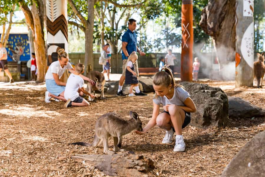 Gold Coast: Dreamworld & SkyPoint 2-Day Ticket - How I would use the two days