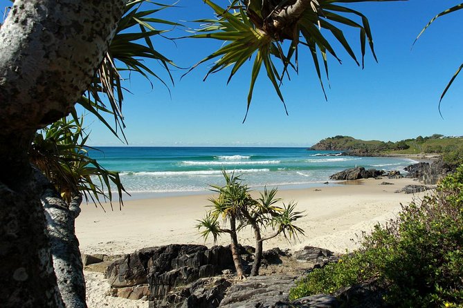 Gold Coast Full Day Learn To Surf Adventure - Two surf lessons make this a real learning day